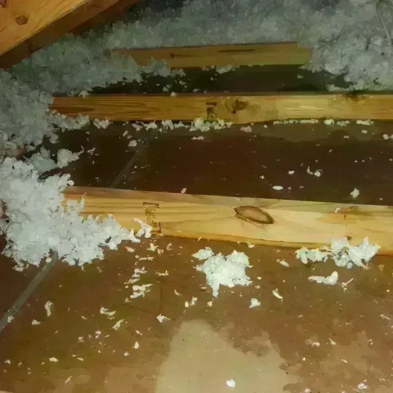 Attic Water Damage in Three Points, AZ