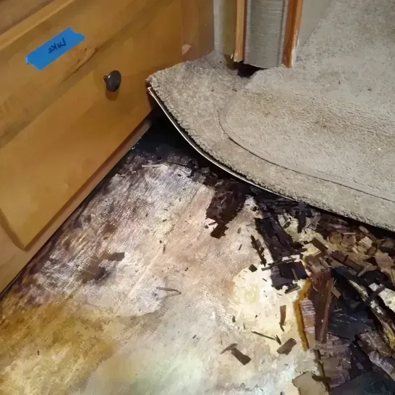 Wood Floor Water Damage in Three Points, AZ